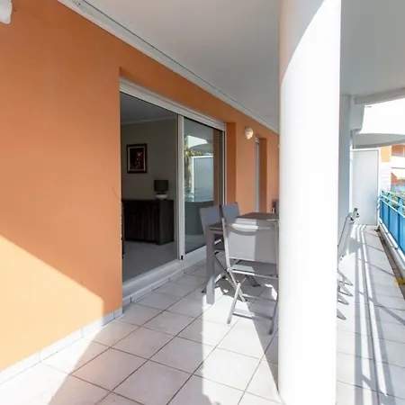 Les Palmiers Furnished Flat Cannes
